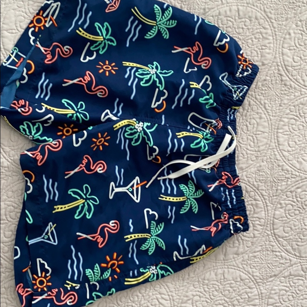 Chubbies Swim Trunks